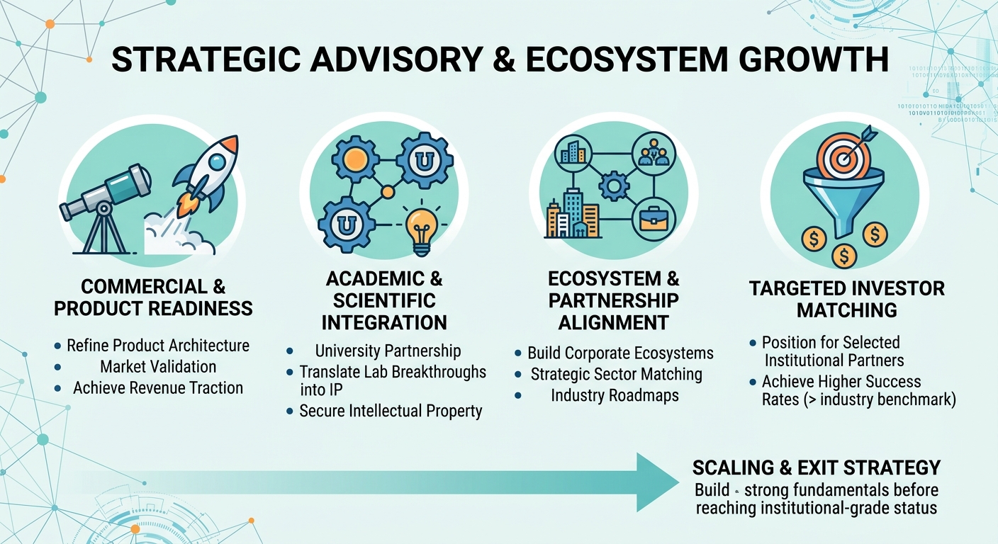 Strategic Advisory Beyond Traditional Venture Capital for Scale-Ups and Research Spin-Outs Vietnam